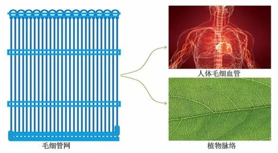 微信图片_20210719135754.png